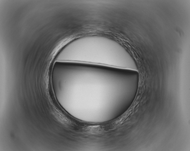 X0000113310054200909141014