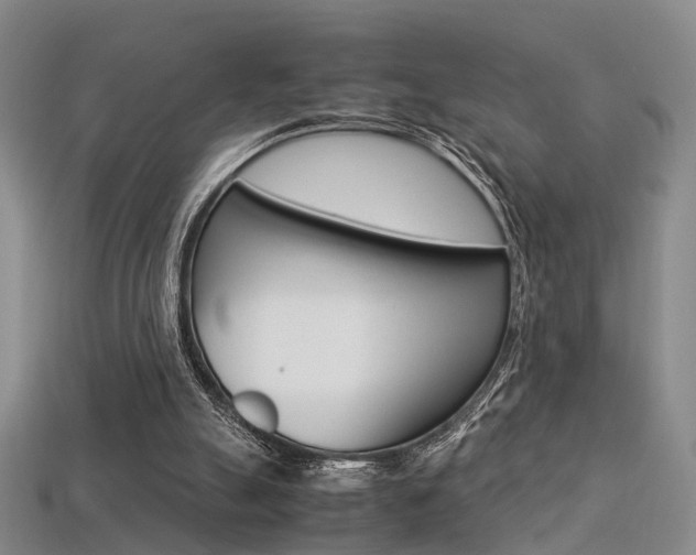 X0000113310055200909141014