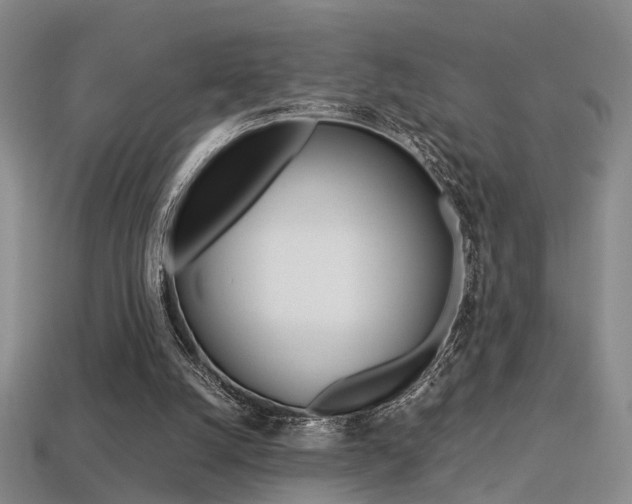 X0000113310056200909141014