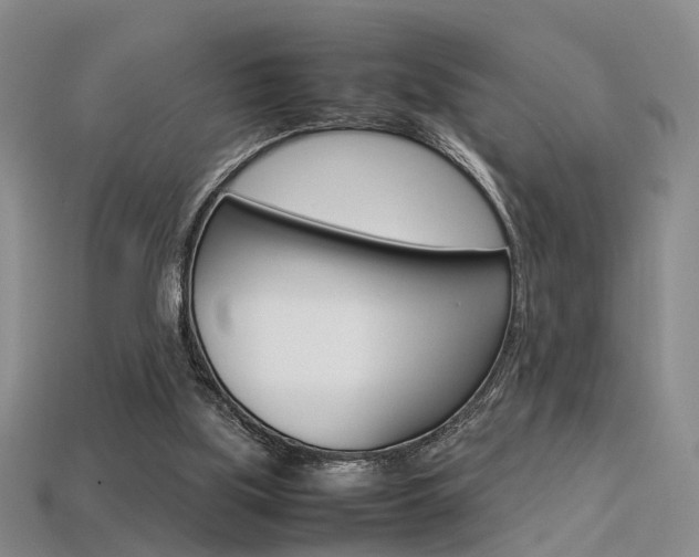 X0000113310059200909141014