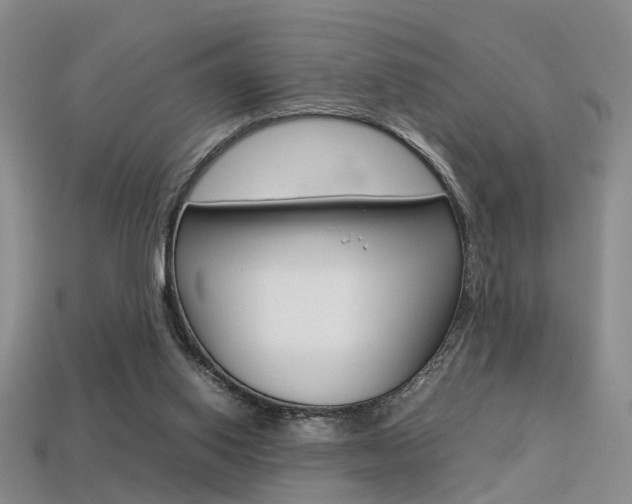 X0000113310062200909141014