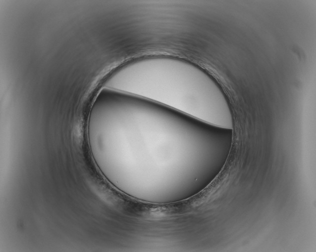 X0000113310064200909141014