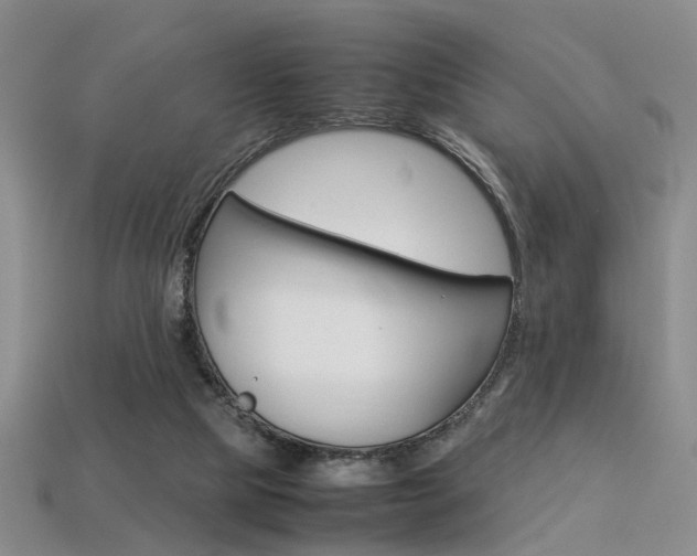 X0000113310065200909141014