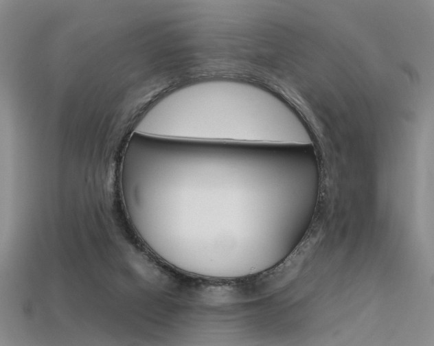 X0000113310066200909141014