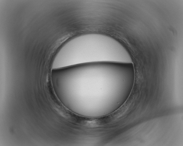 X0000113310068200909141014