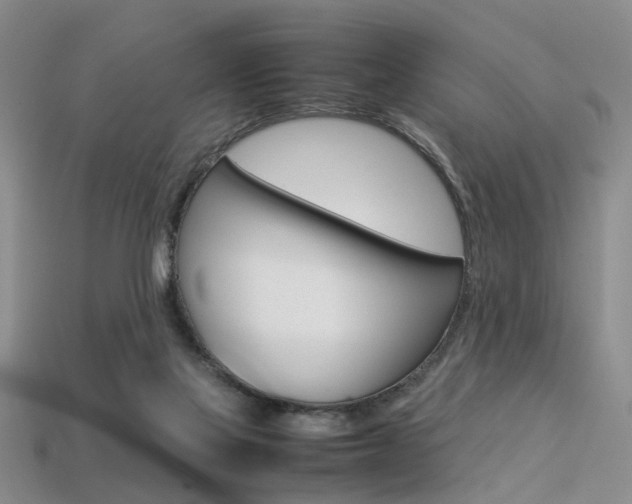 X0000113310069200909141014