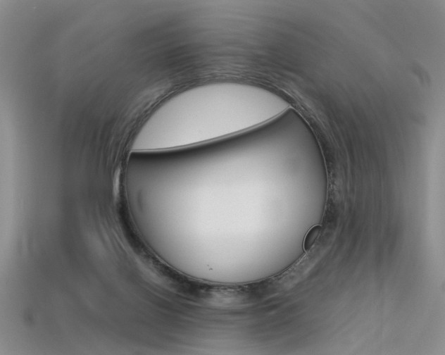 X0000113310070200909141014