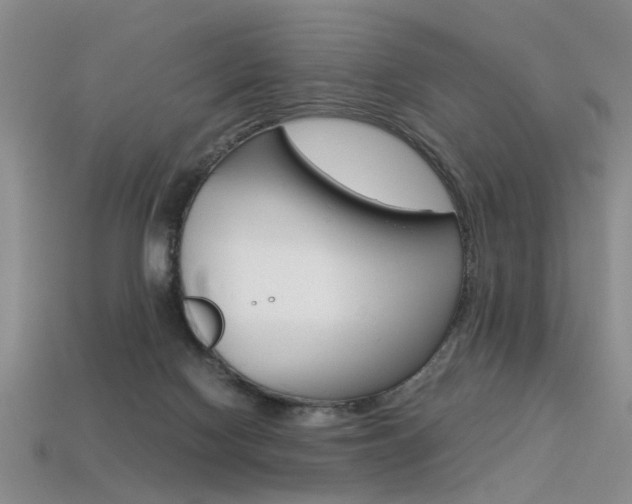 X0000113310074200909141014