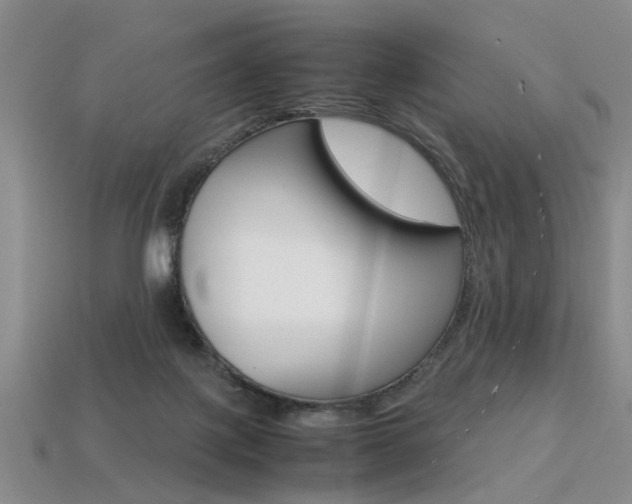 X0000113310075200909141014