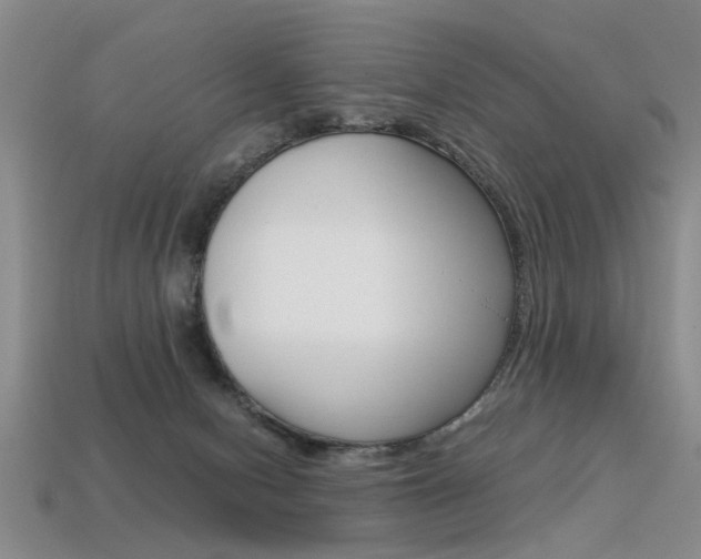 X0000113310078200909141014