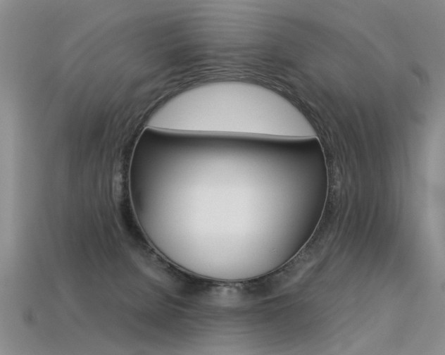 X0000113310080200909141014