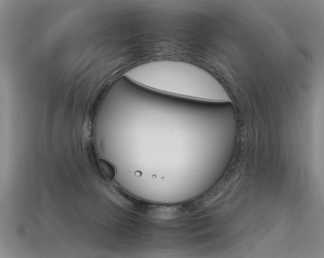 X0000113310081200909141014