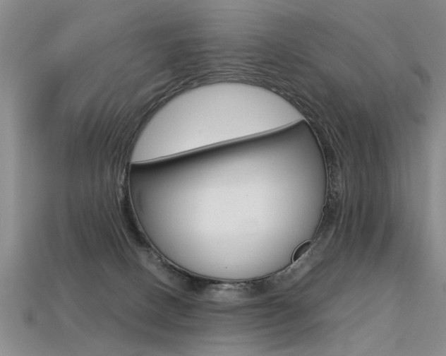 X0000113310082200909141014