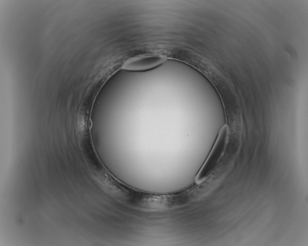 X0000113310084200909141014