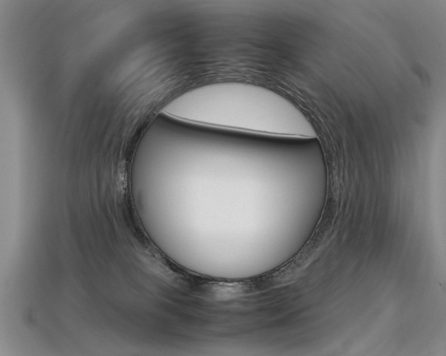 X0000113310085200909141014