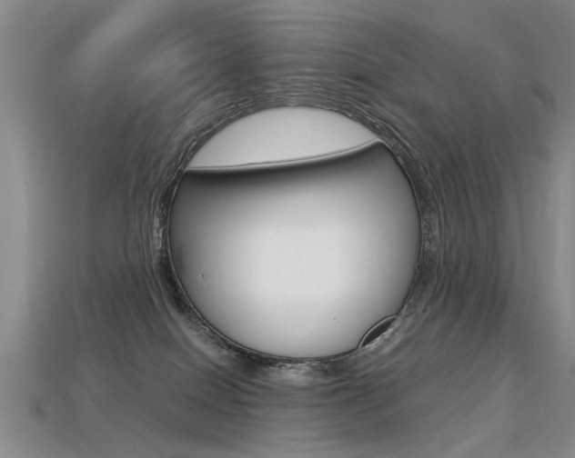 X0000113310086200909141014