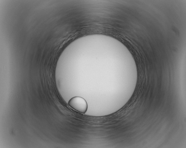 X0000113310088200909141014