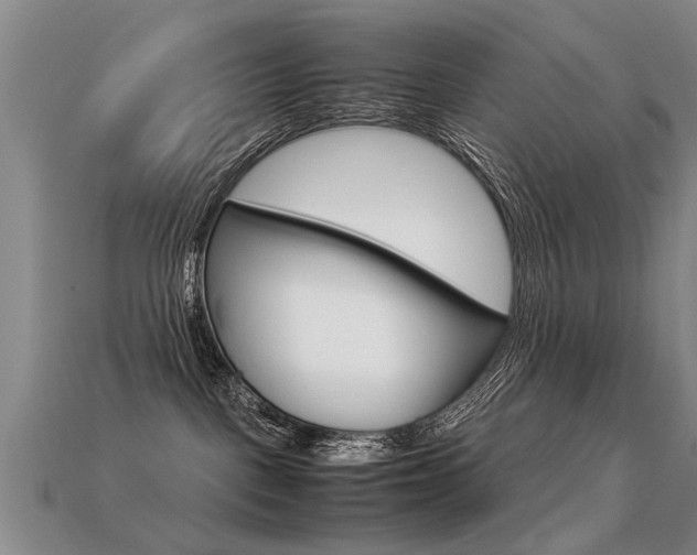 X0000113310093200909141015