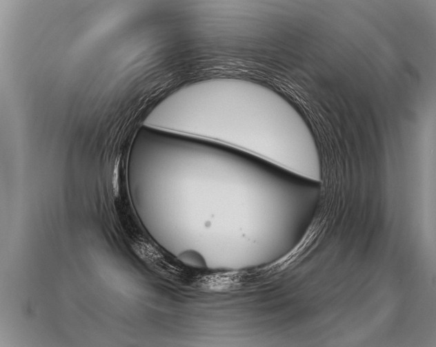 X0000113310094200909141015