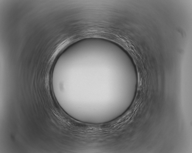 X0000113310099200909141014