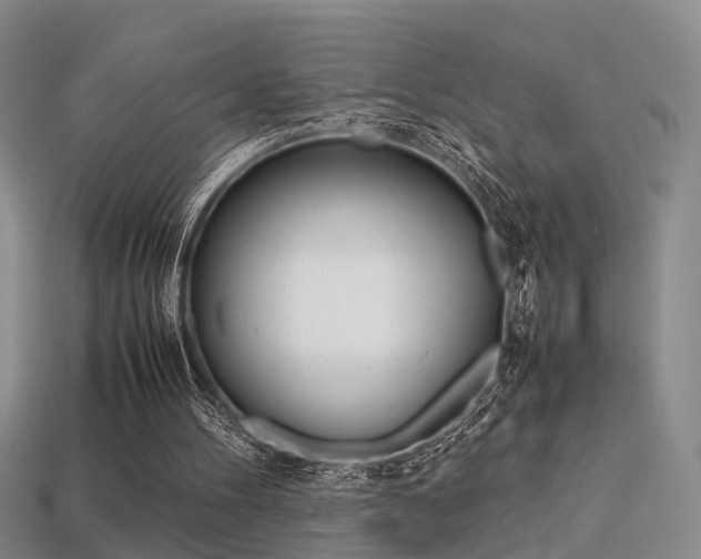 X0000113310100200909141014