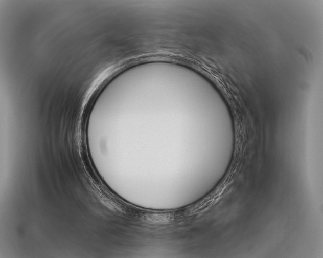 X0000113310102200909141014