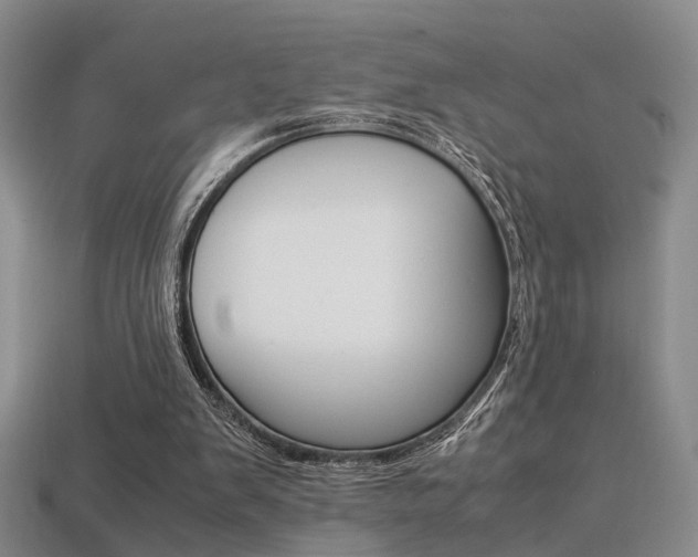 X0000113310103200909141014