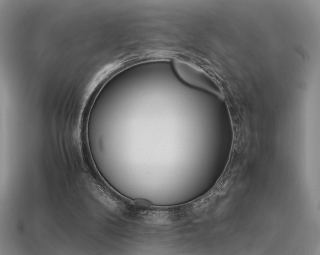 X0000113310104200909141014