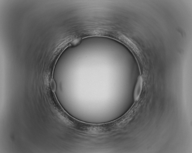 X0000113310105200909141014