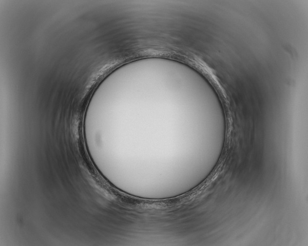 X0000113310106200909141014