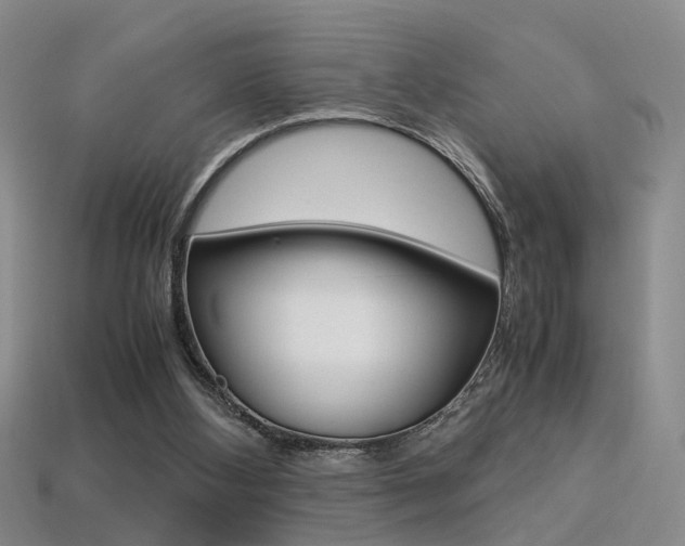 X0000113310108200909141014