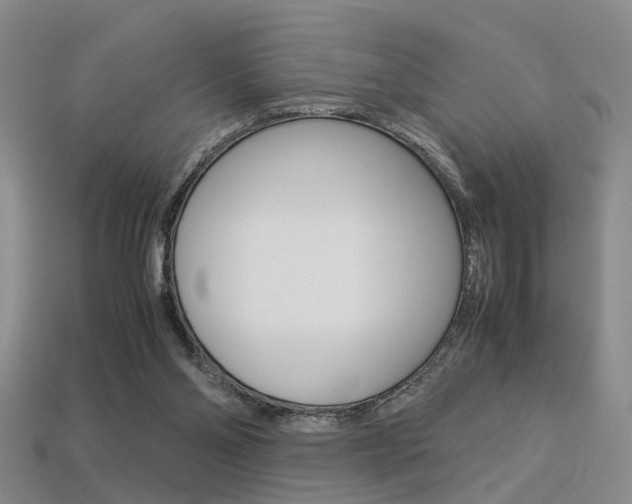 X0000113310110200909141014