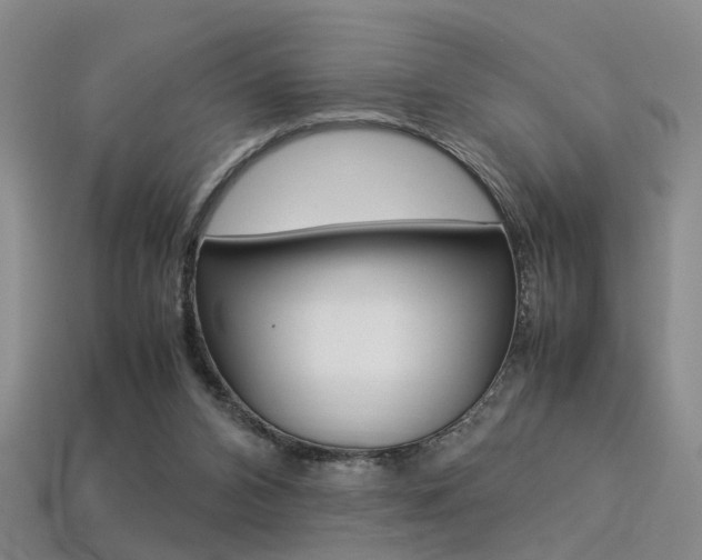 X0000113310112200909141014