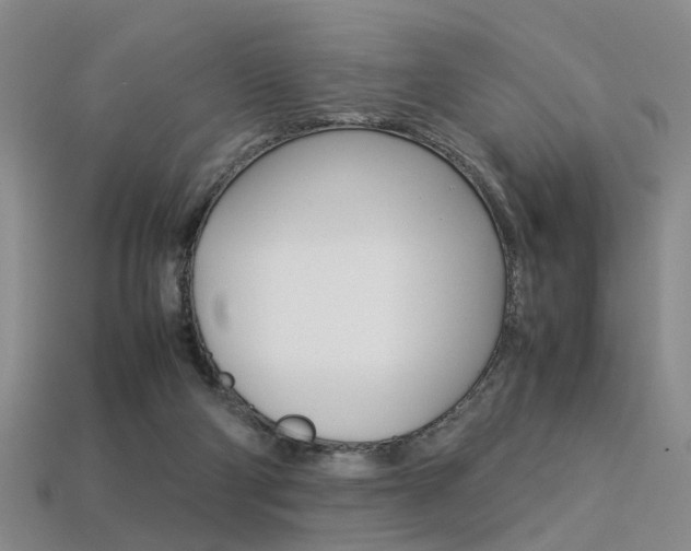 X0000113310114200909141014