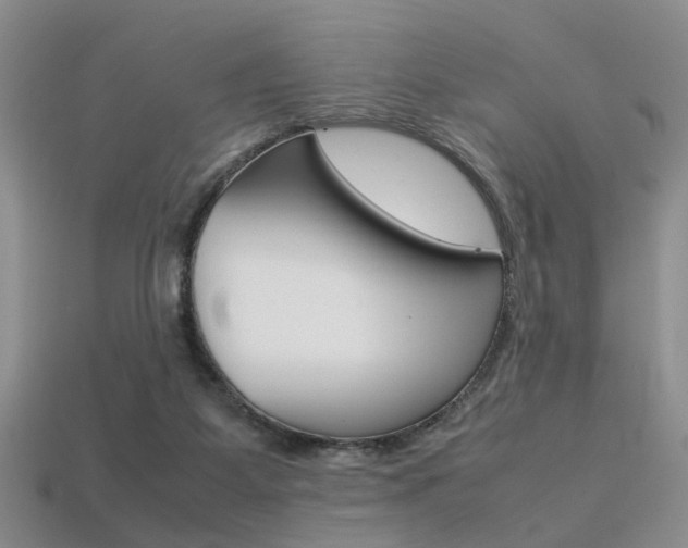 X0000113310115200909141014