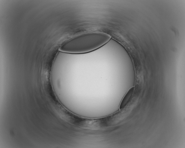 X0000113310117200909141014