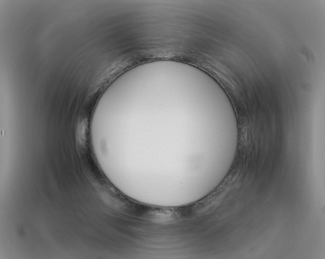 X0000113310118200909141014