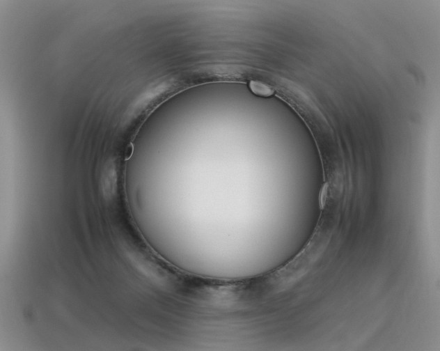 X0000113310120200909141013