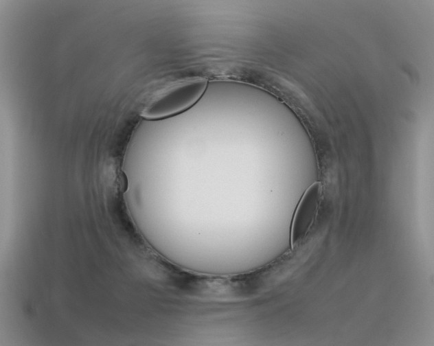 X0000113310121200909141013