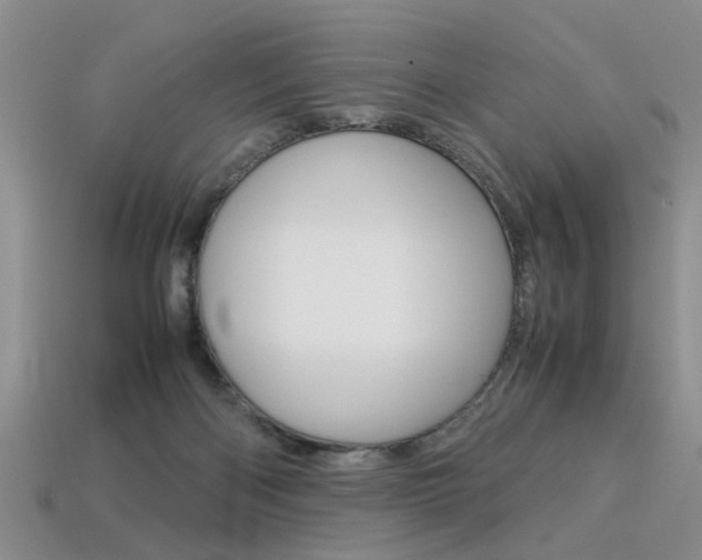 X0000113310122200909141013