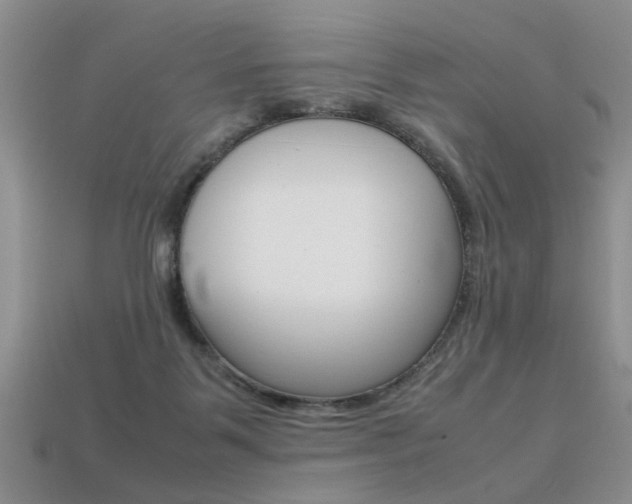 X0000113310123200909141013