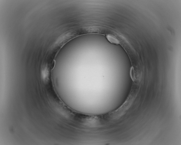 X0000113310124200909141013