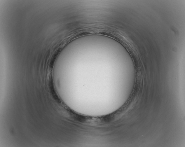 X0000113310125200909141013