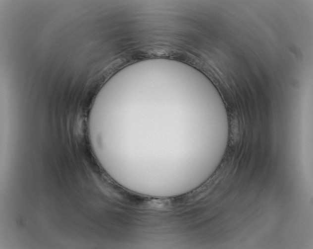 X0000113310126200909141013