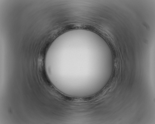 X0000113310127200909141013