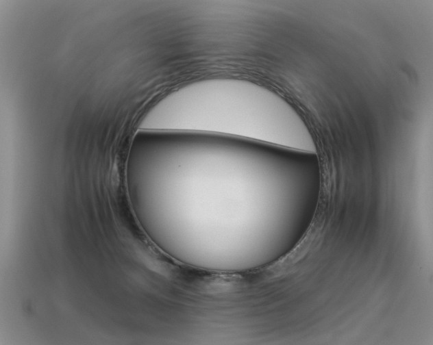 X0000113310128200909141013