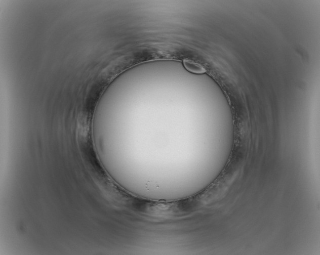 X0000113310129200909141013