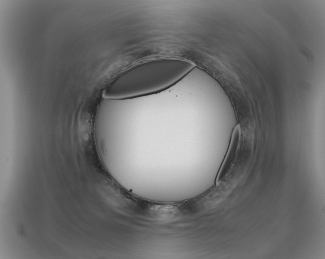 X0000113310133200909141013