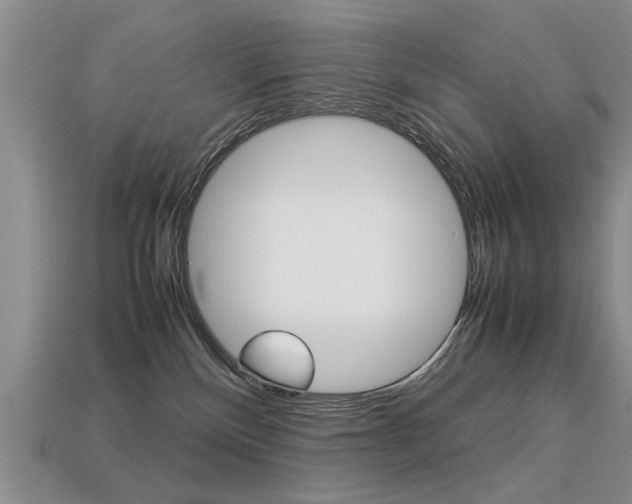 X0000113310136200909141013