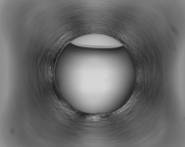 X0000113310140200909141013